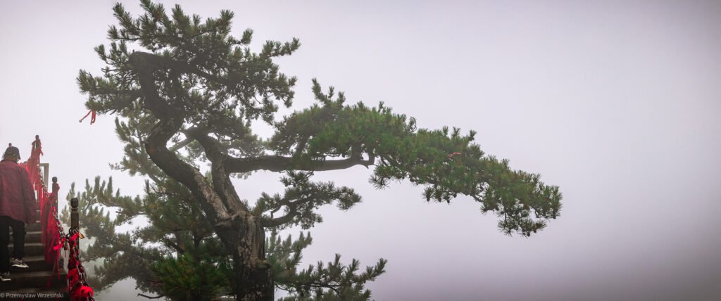 _WRZ5744-HDR-Pano