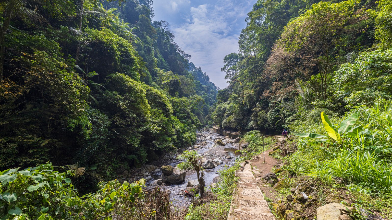 _WRZ8022-HDR