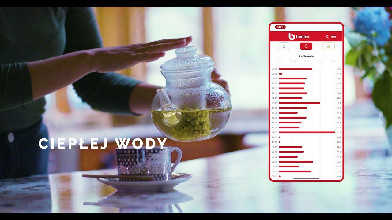 Budlex Promo