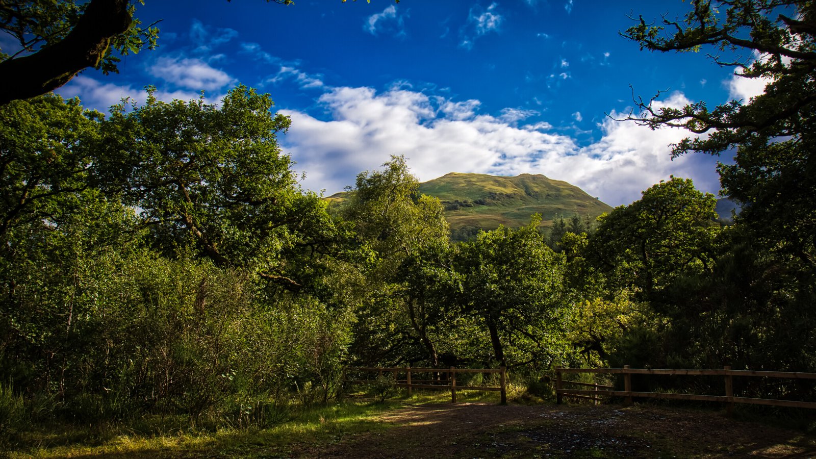 Mountain