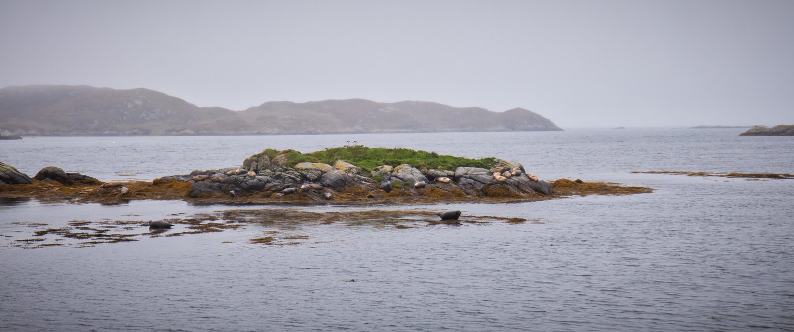 Seals