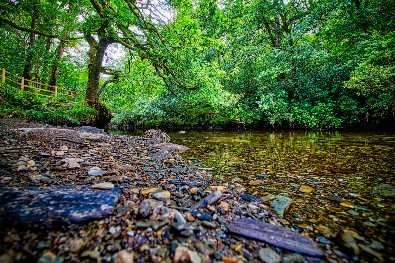 Stream
