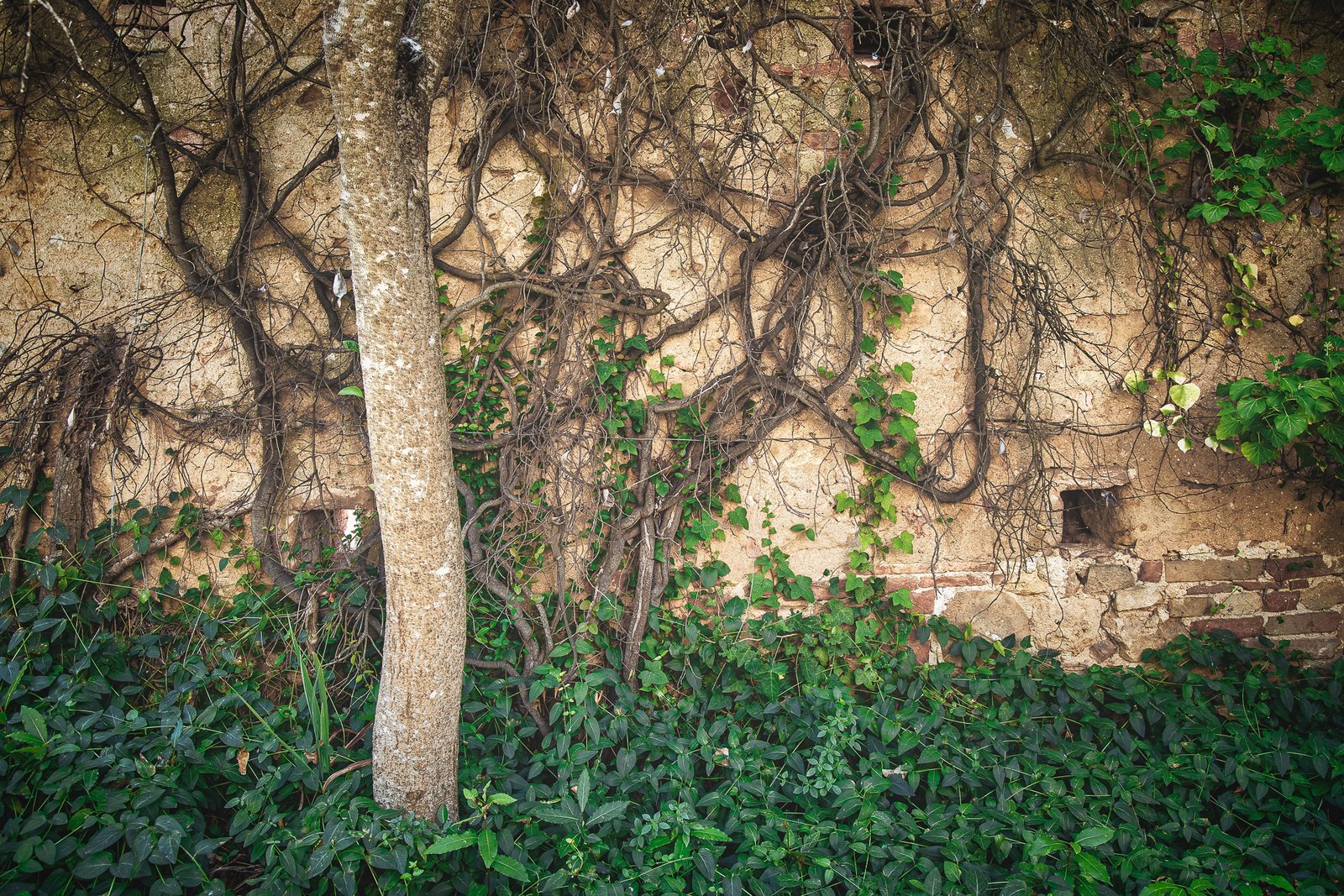 _Y3A3984-HDR-Edit