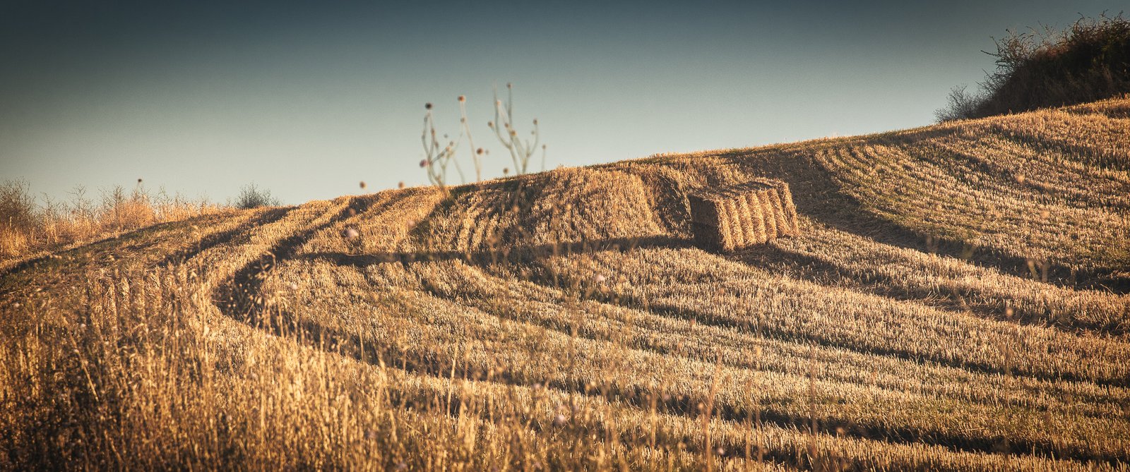 _Y3A4295-HDR-Edit