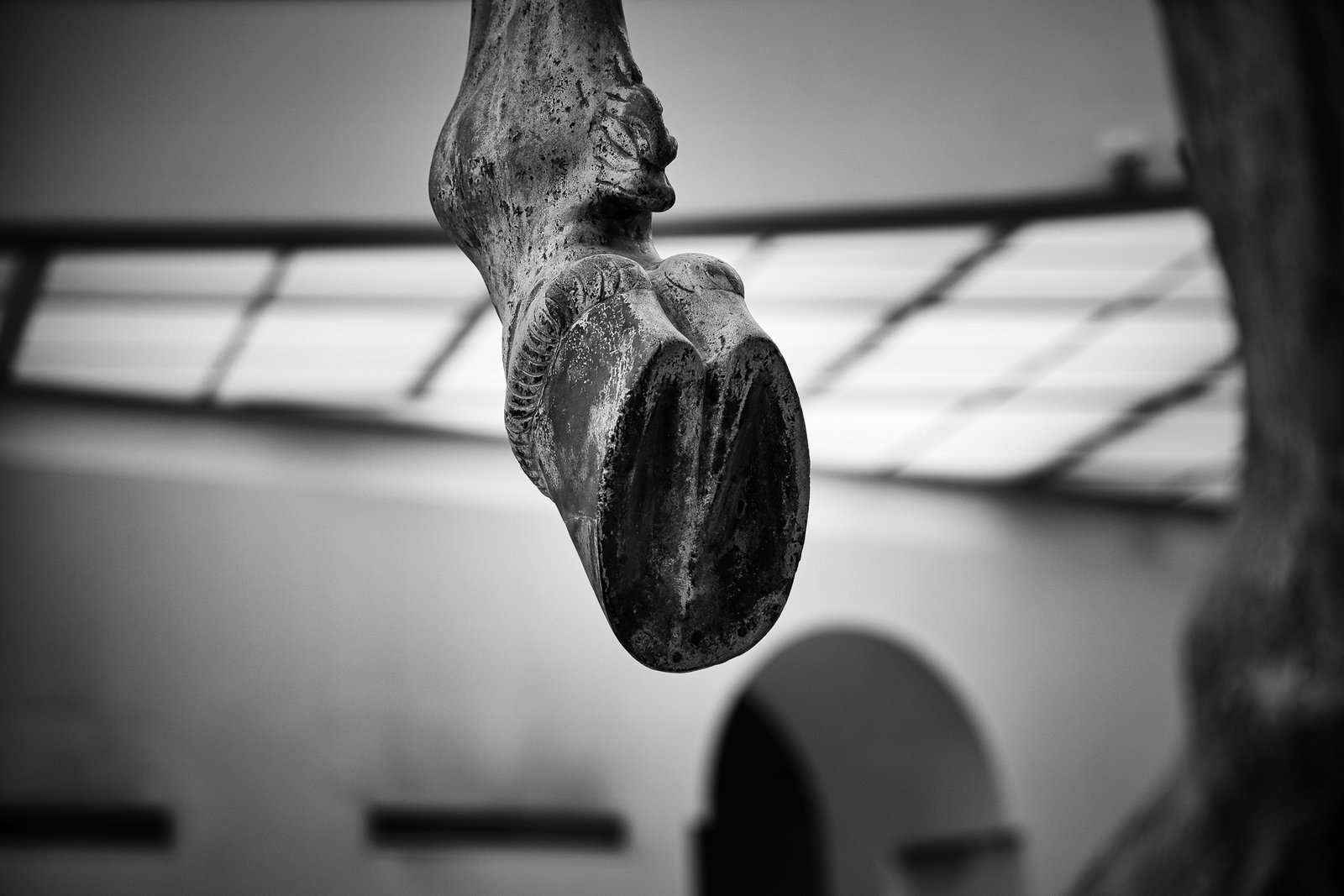 _Y3A6366-Edit