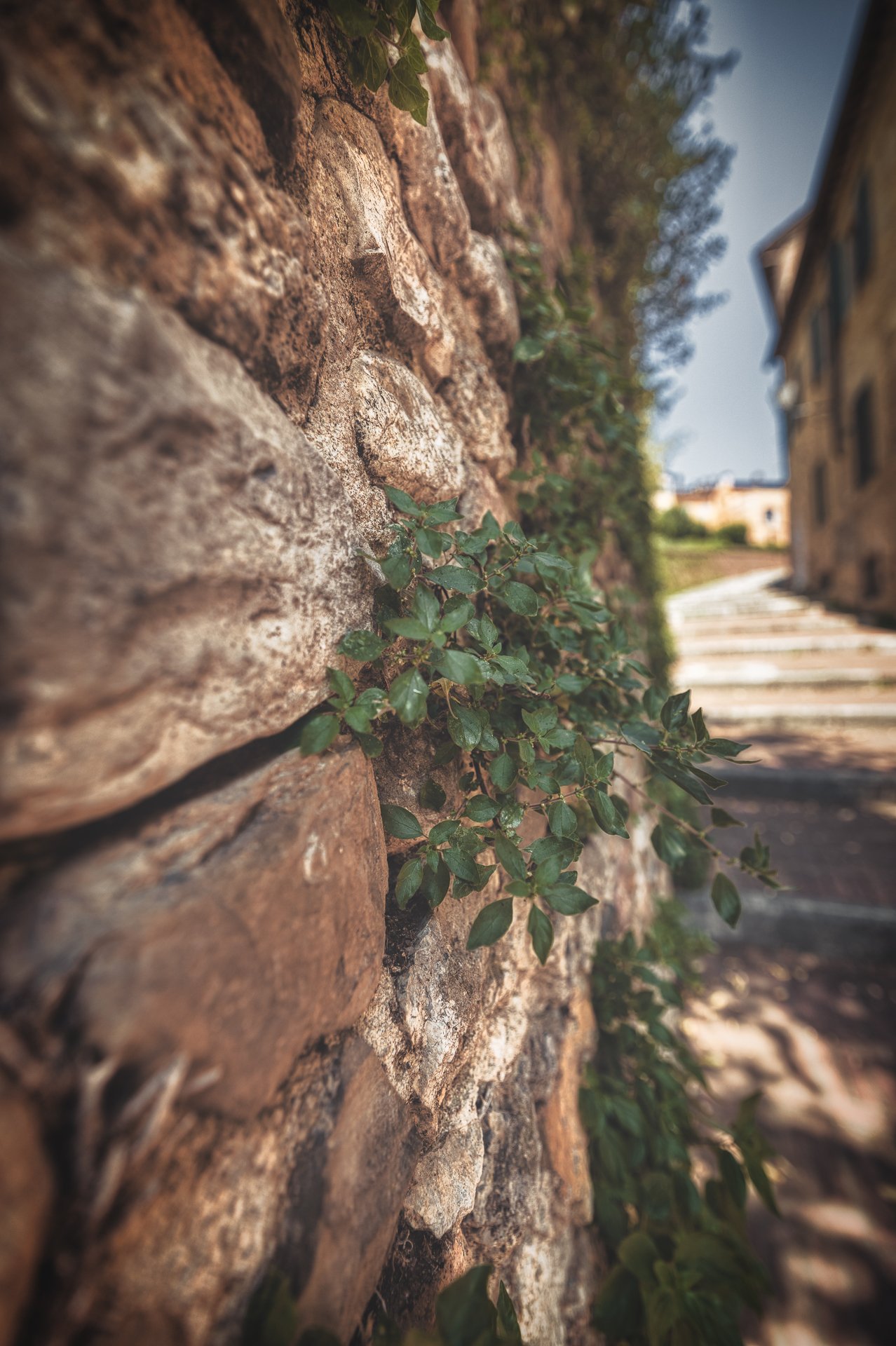 _Y3A9134-Edit-Edit