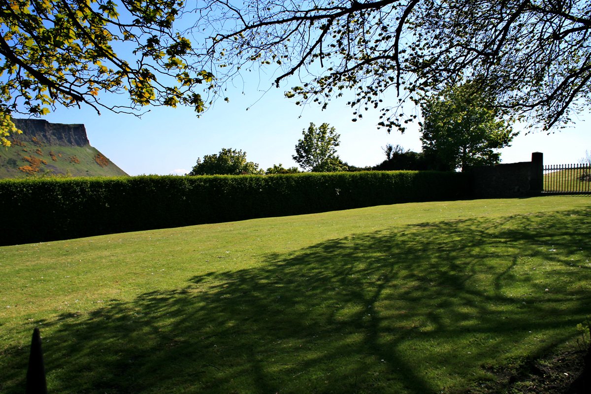 grass-fields