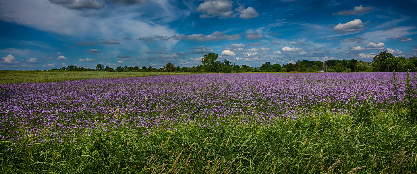 MG_5667_Edit