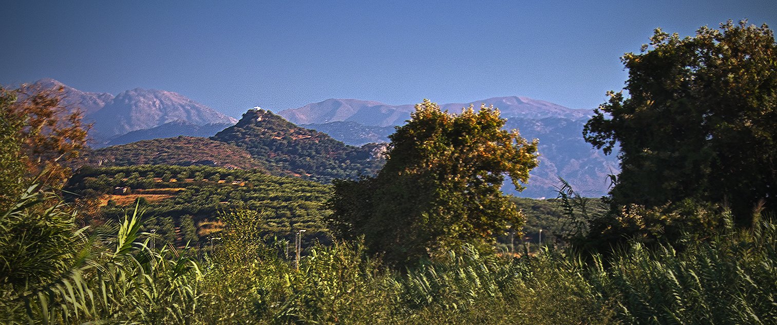 platanias-vineyard-horizontal